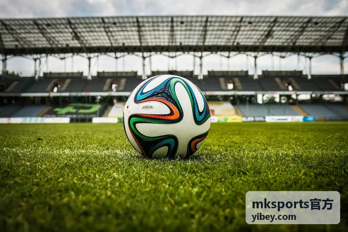 mksports官方运动课程方案体能与球类课程现场