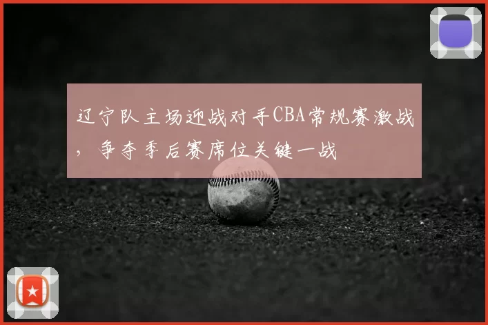 辽宁队主场迎战对手CBA常规赛激战，争夺季后赛席位关键一战