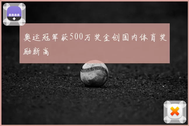 奥运冠军获500万奖金创国内体育奖励新高