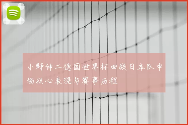 小野伸二德国世界杯回顾日本队中场核心表现与赛事历程