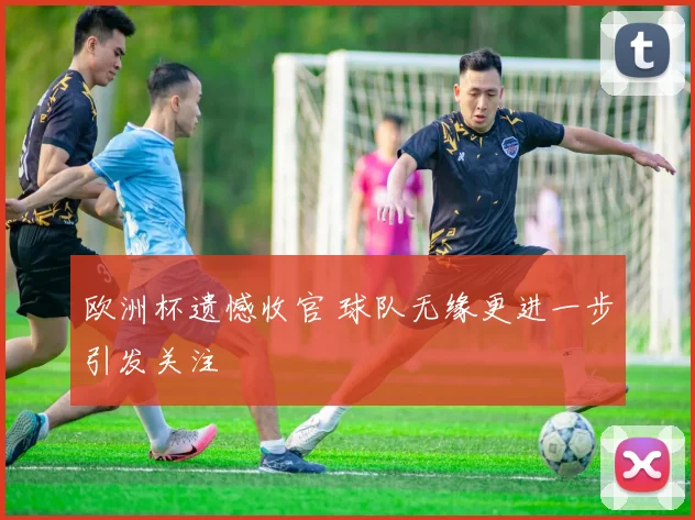 欧洲杯遗憾收官 球队无缘更进一步引发关注