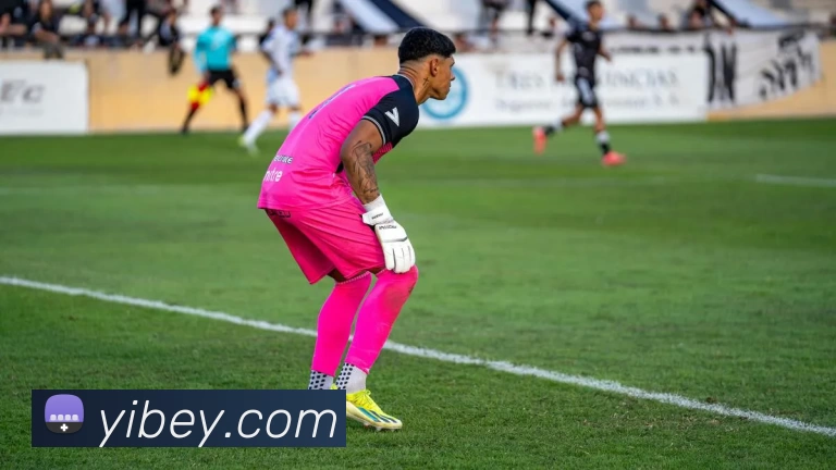 三亿体育app官方下载入口品牌故事