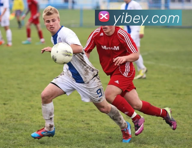 三亿体育app官方下载入口服务体系